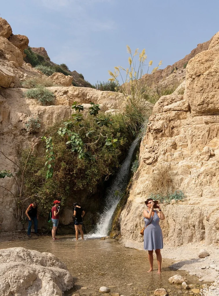 Visitors beside a waterfall and vegetation below dry cliffs in En Gedi