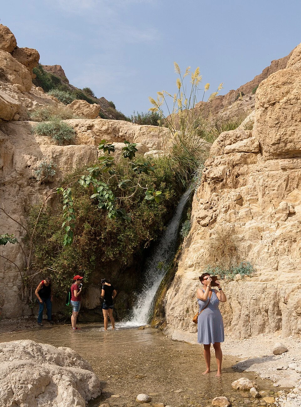 Visitors beside a waterfall and vegetation below dry cliffs in En Gedi