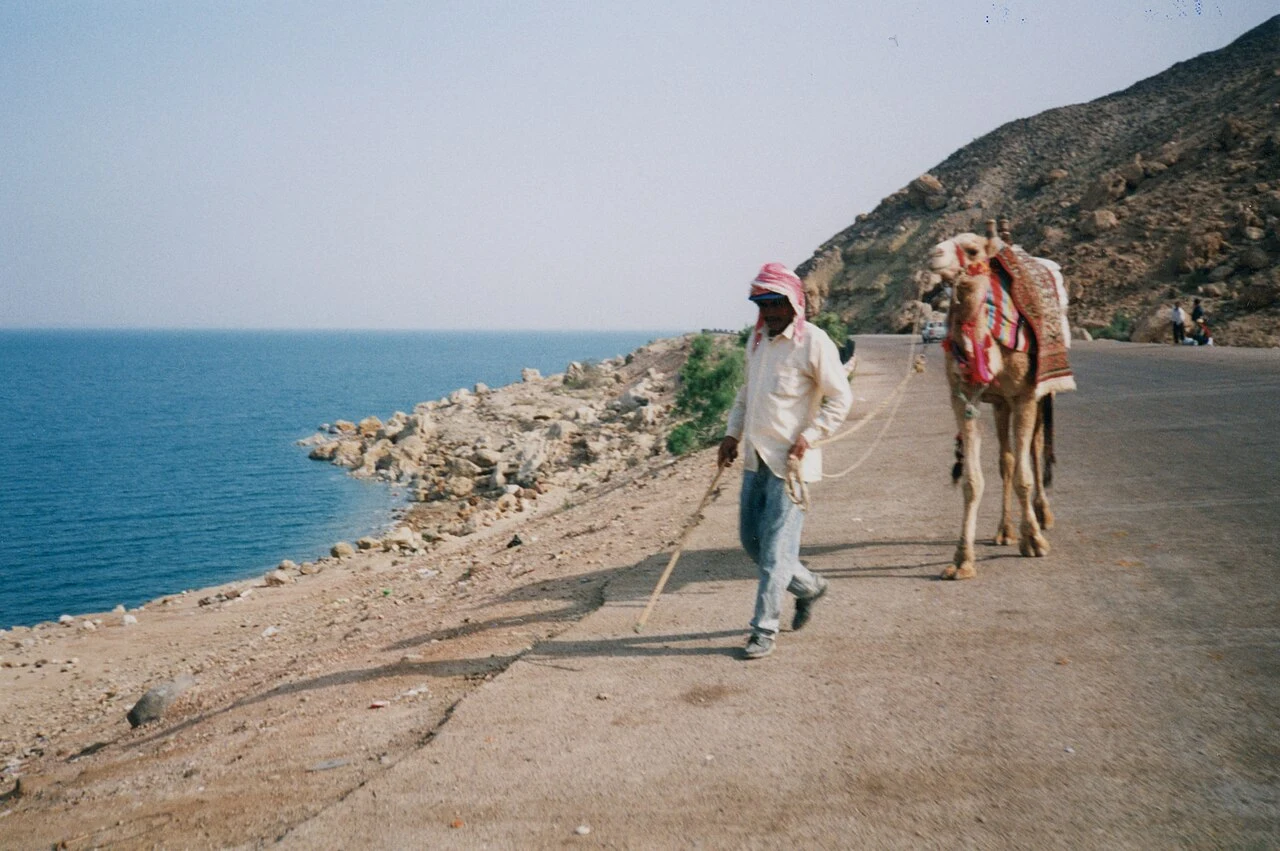 An archival view of a person walking with a camel beside a road and the Dead Sea in Jordan