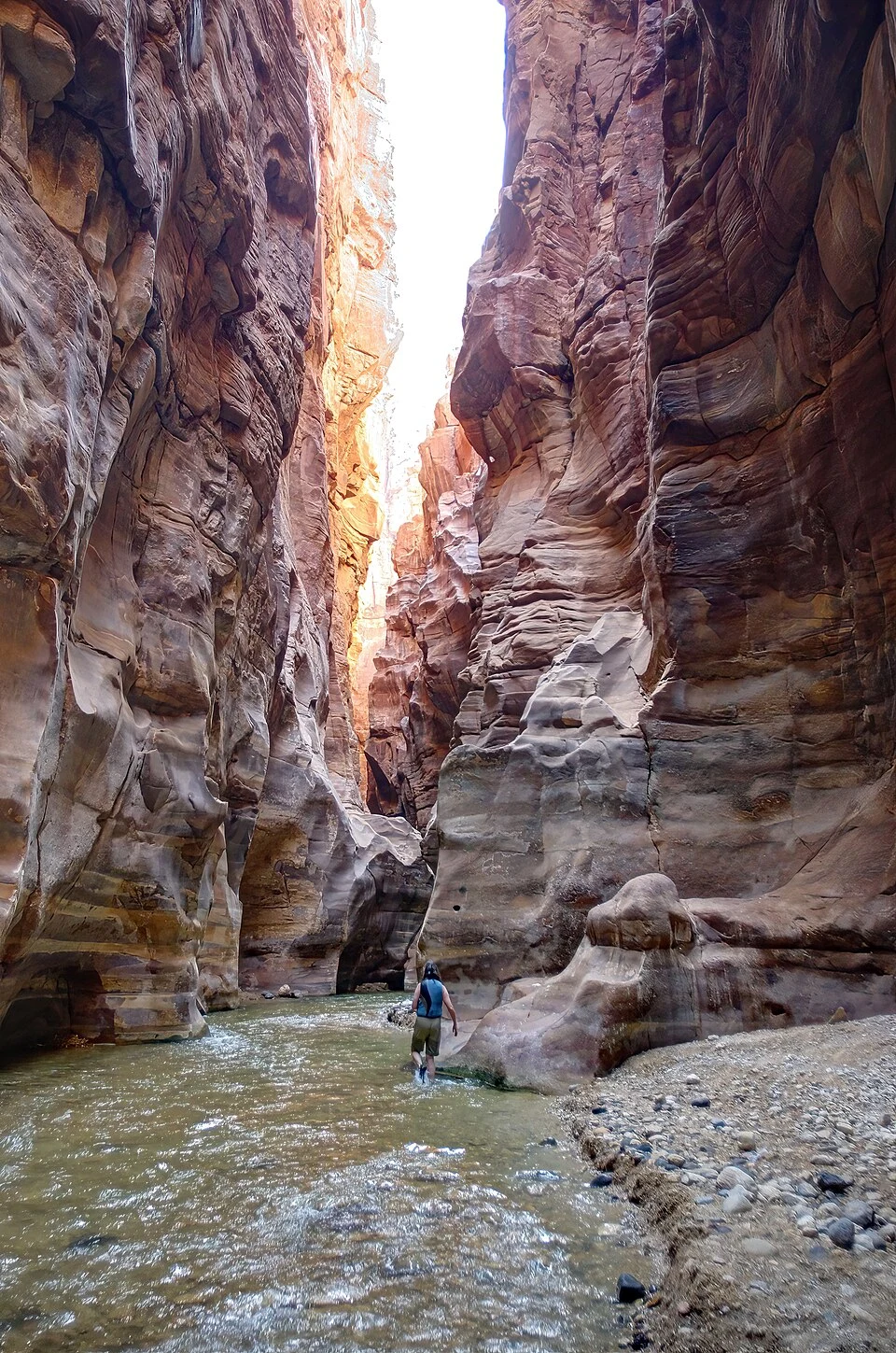 Water flows between high sandstone walls, with visitors in the Wadi Mujib gorge